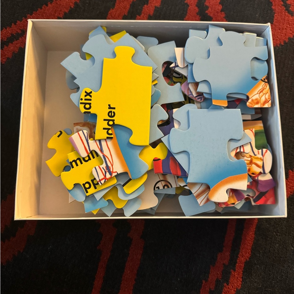 Melissa & Doug Anatomy Floor Puzzle, eeboo Dino Dominoes, mudpuppy World Puzzle - Picture 5 of 12